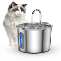 Fuente con gato