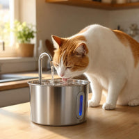 Gato bebiendo de la fuente de agua Lomimo en casa
